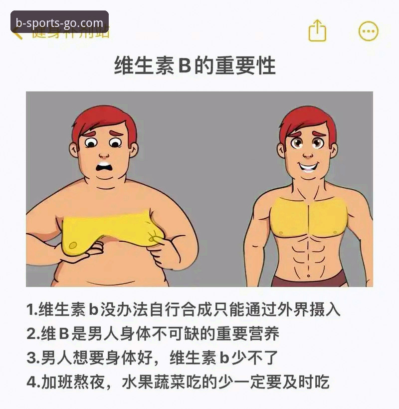 B体育官网全面评测：新手投注体验与操作指南报告